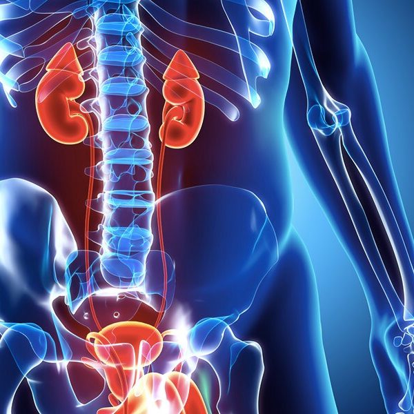 MedEd-ClicalBrief-Urology-800x600